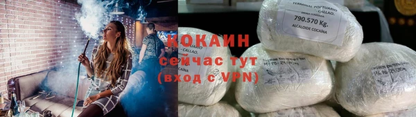 мдпв Новозыбков