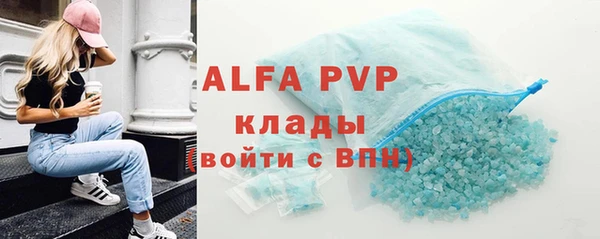 мдпв Новозыбков