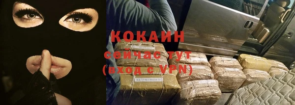 твердый Новокубанск
