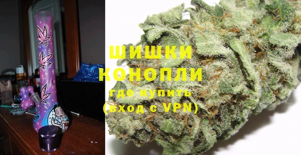 мдпв Новозыбков