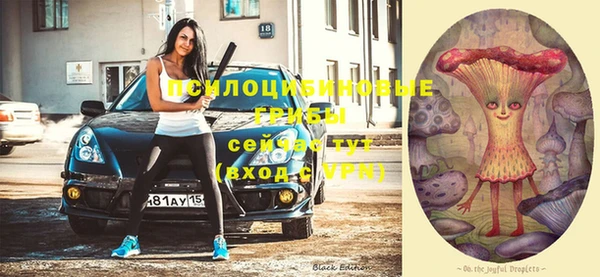 мдпв Новозыбков