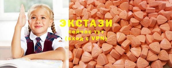 мдпв Новозыбков