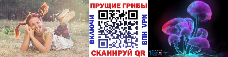 как найти   Славск  Псилоцибиновые грибы Magic Shrooms 